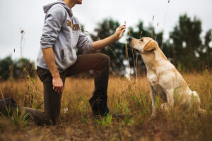 A person kneeling in a field, extending a hand towards a sitting yellow Labrador Retriever. Tall grass surrounds them, and trees are visible in the background under a cloudy sky.