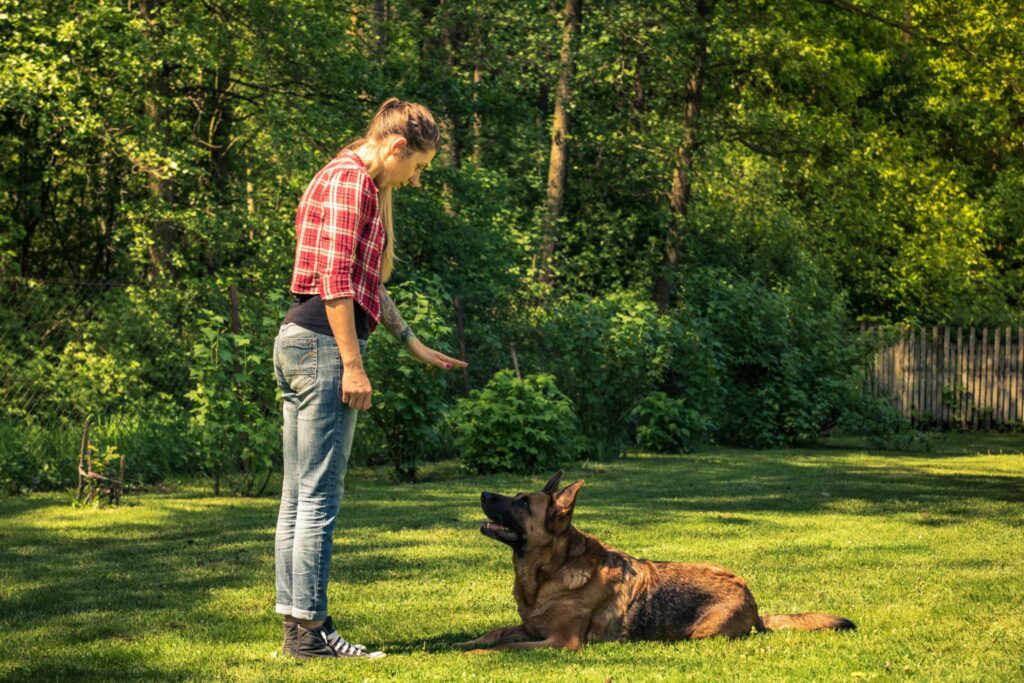 A woman in a red flannel shirt and jeans stands with her hand raised in front of a seated German Shepherd dog on a grassy area. The background includes trees and a wooden fence, indicating a natural outdoor setting.